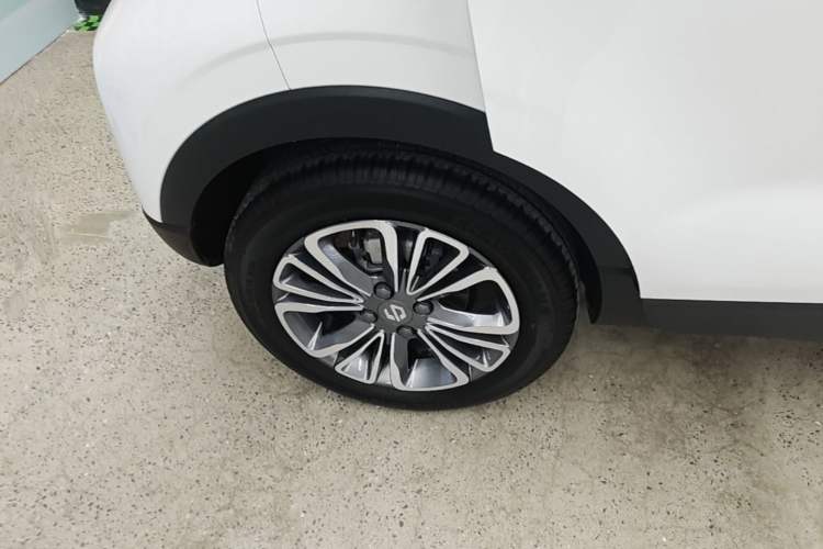 Used Leapmotor T03 2024 310 Comfort Edition Exterior 5