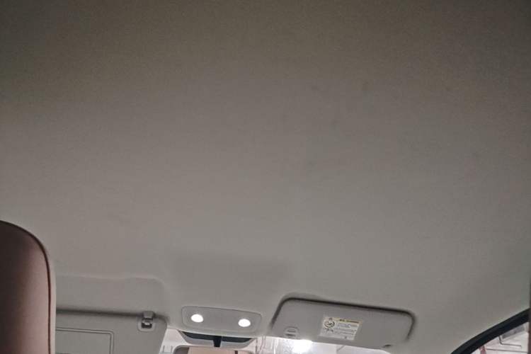 Used Leapmotor T03 2024 403 Comfort Edition Headliner