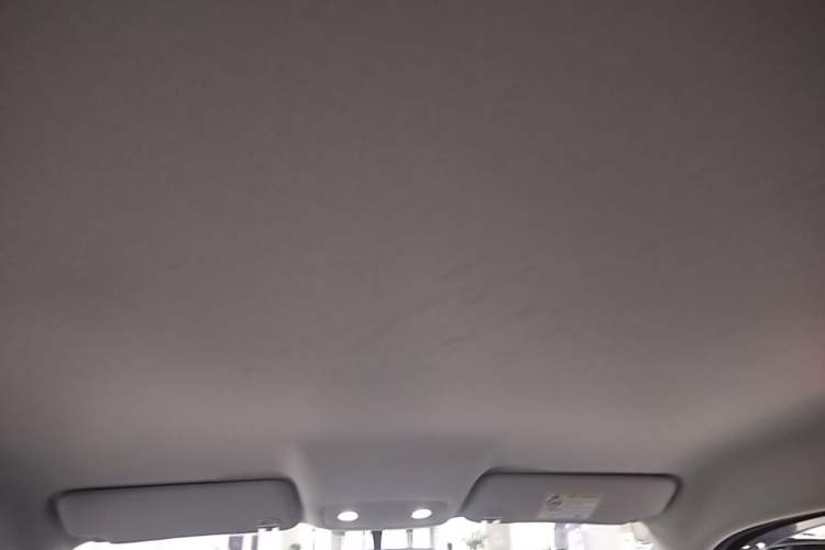 Used Leapmotor T03 2024 200 Lite Edition Headliner