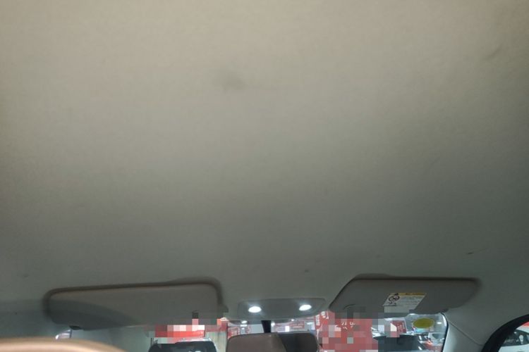 Used Leapmotor T03 2024 310 Comfort Edition Headliner