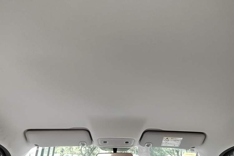 Used Leapmotor T03 2024 200 Lite Edition Headliner
