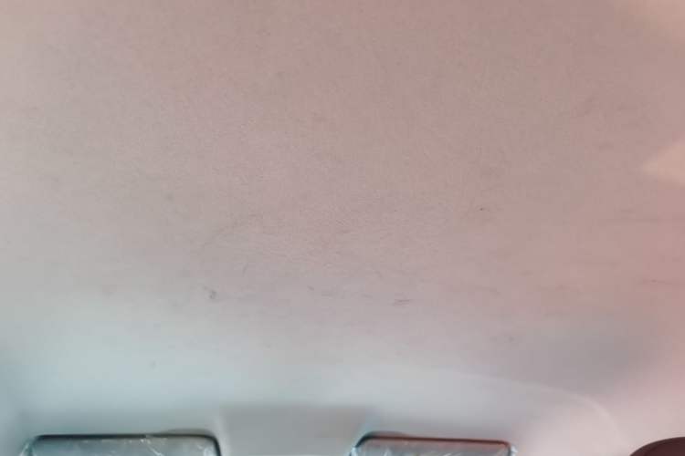 Used Leapmotor T03 2024 310 Comfort Edition Headliner