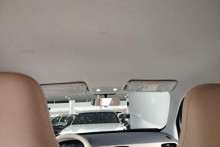 Used Leapmotor T03 2024 310 Comfort Edition Headliner