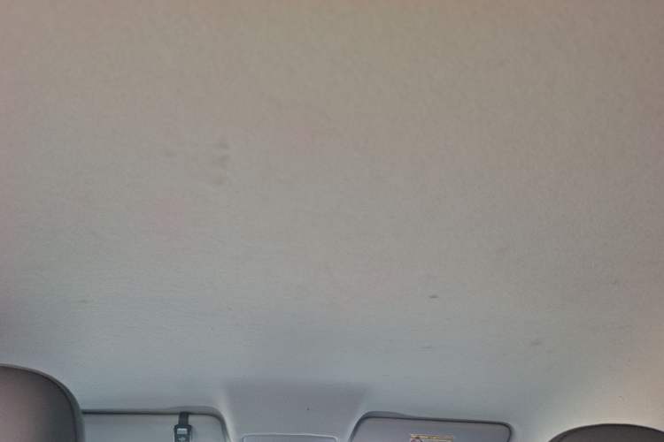 Used Leapmotor T03 2024 310 Comfort Edition Headliner
