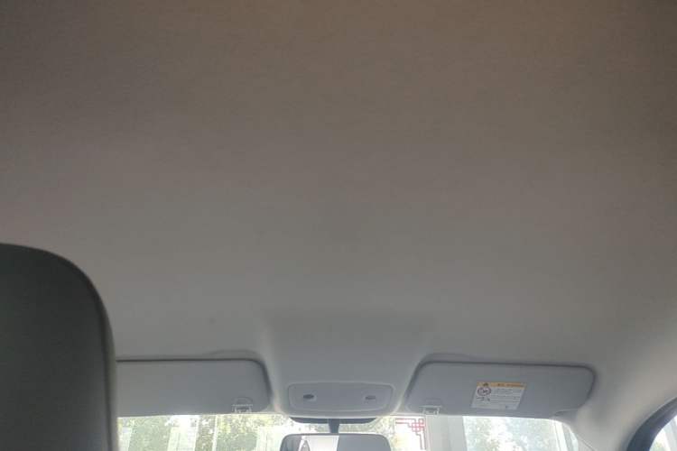 Used Leapmotor T03 2024 310 Comfort Edition Headliner