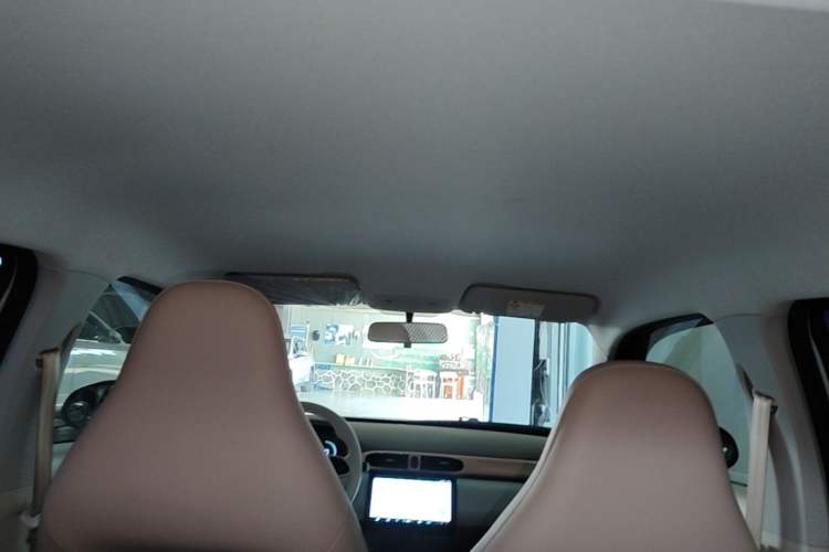 Used Leapmotor T03 2024 310 Comfort Edition Headliner