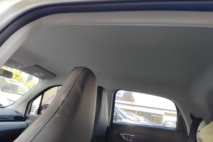 Used Leapmotor T03 2024 310 Comfort Edition Headliner