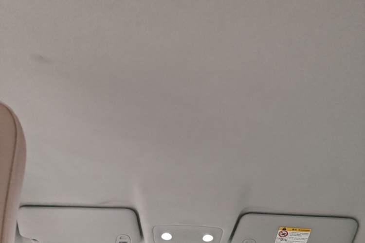 Used Leapmotor T03 2024 310 Comfort Edition Headliner