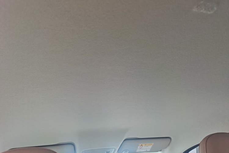 Used Leapmotor T03 2024 310 Comfort Edition Headliner