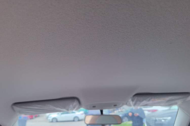 Used Leapmotor T03 2024 310 Comfort Edition Headliner