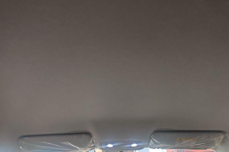 Used Leapmotor T03 2024 310 Comfort Edition Headliner