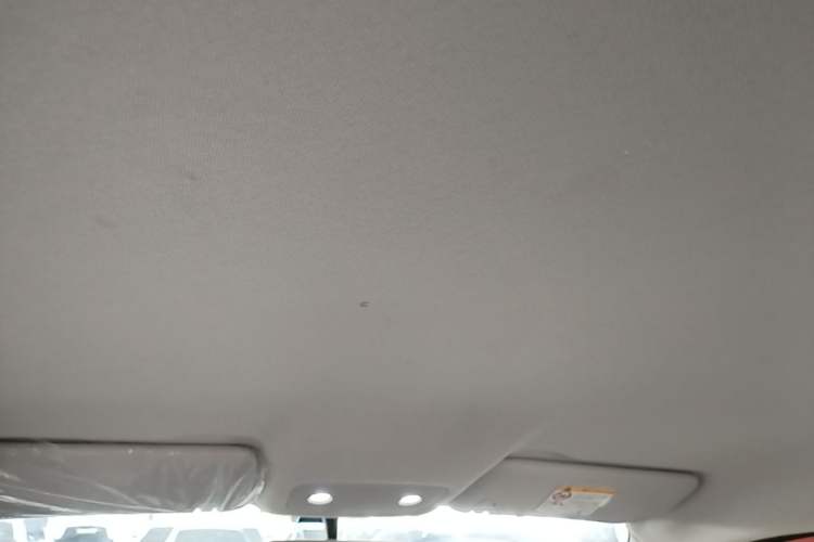 Used Leapmotor T03 2024 200 Lite Edition Headliner