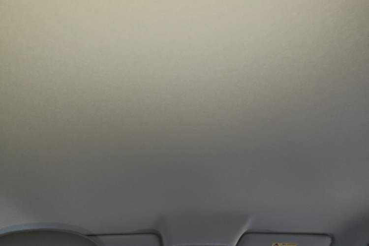 Used Leapmotor T03 2024 310 Comfort Edition Headliner