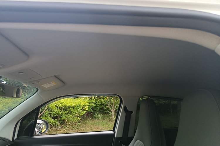 Used Leapmotor T03 2024 310 Comfort Edition Headliner