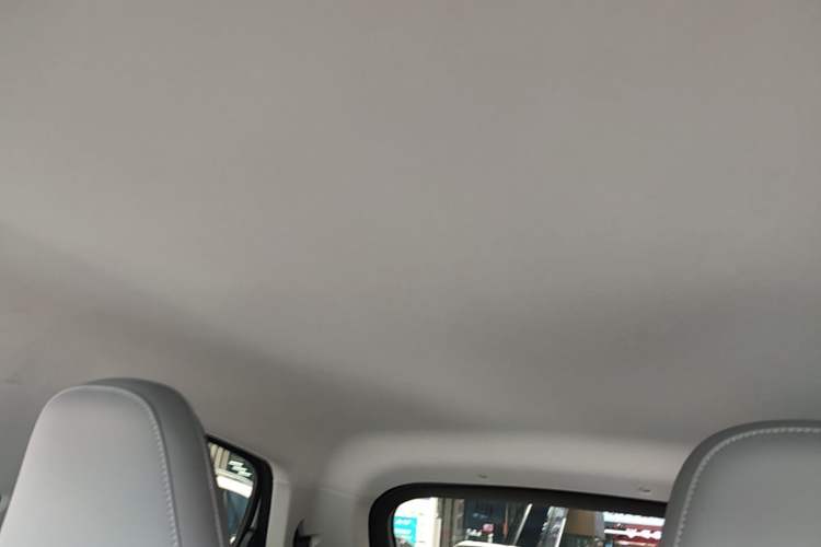Used Leapmotor T03 2024 310 Comfort Edition Headliner