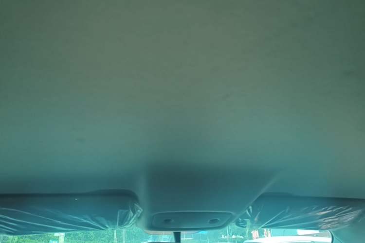 Used Leapmotor T03 2024 200 Lite Edition Headliner