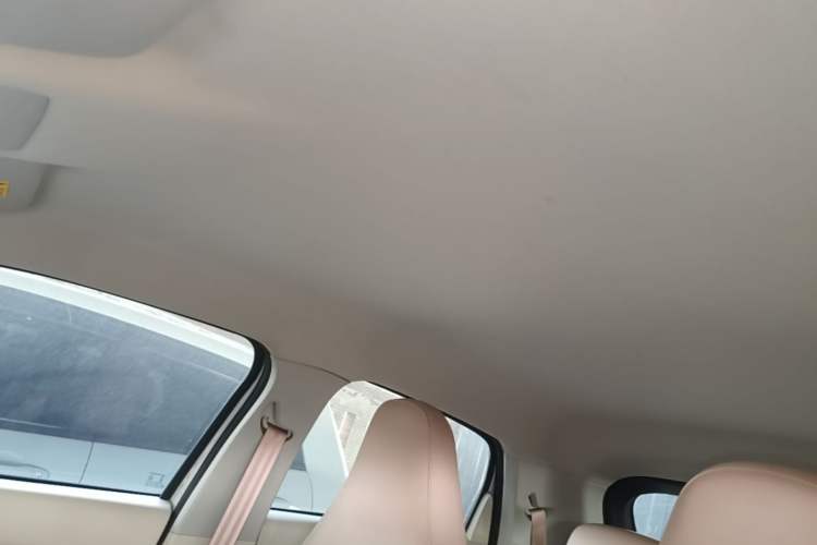 Used Leapmotor T03 2024 403 Comfort Edition Headliner