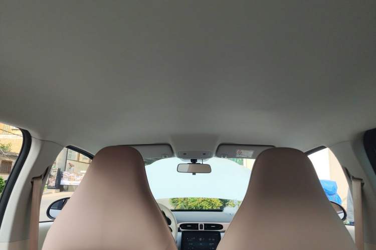 Used Leapmotor T03 2024 200 Lite Edition Headliner