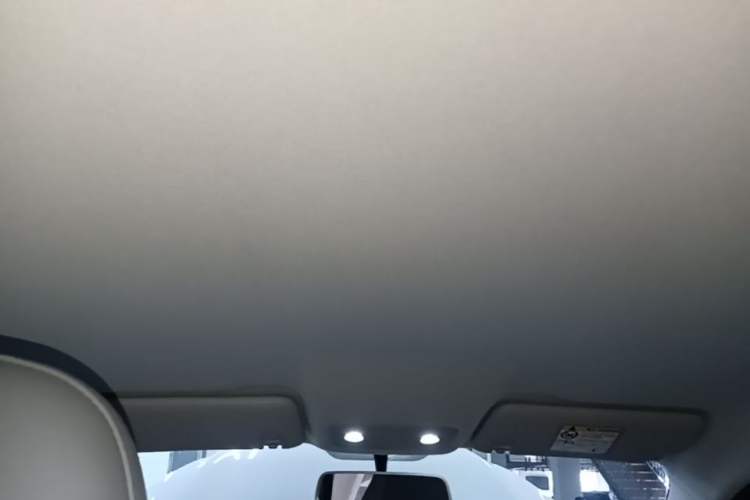 Used Leapmotor T03 2024 403 Comfort Edition Headliner
