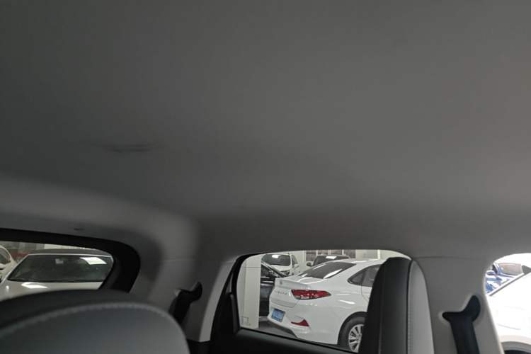 Used Leapmotor T03 2024 403 Comfort Edition Headliner