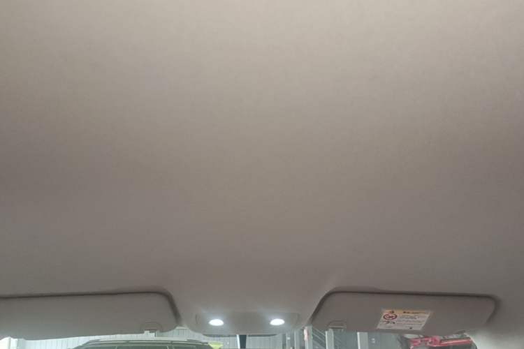 Used Leapmotor T03 2024 310 Comfort Edition Headliner