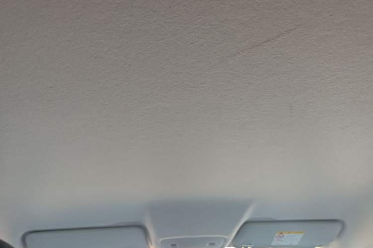 Used Leapmotor T03 2024 403 Comfort Edition Headliner