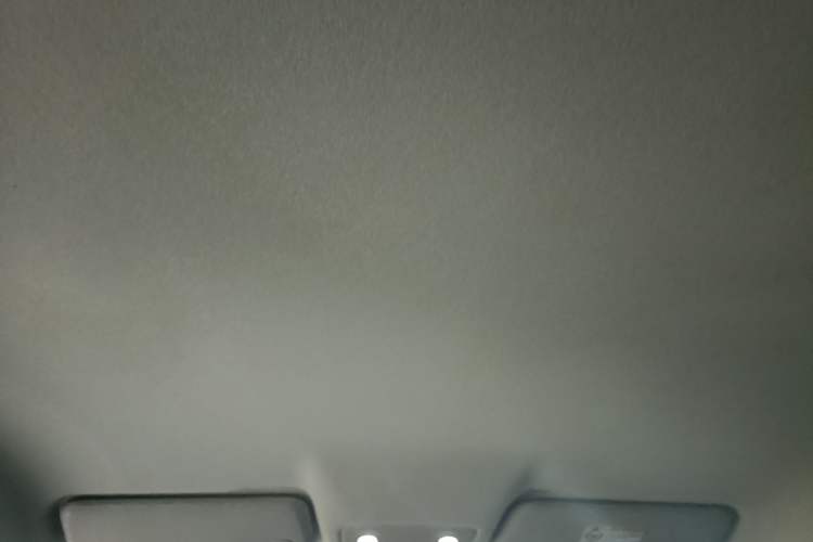 Used Leapmotor T03 2024 310 Comfort Edition Headliner