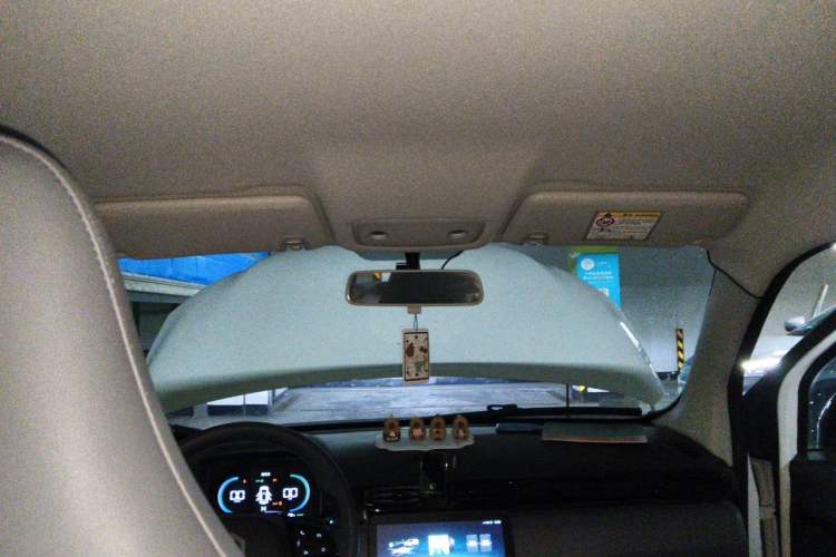 Used Leapmotor T03 2024 403 Comfort Edition Headliner