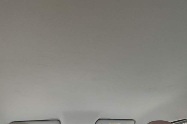 Used Leapmotor T03 2024 310 Comfort Edition Headliner