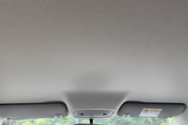 Used Leapmotor T03 2024 403 Comfort Edition Headliner