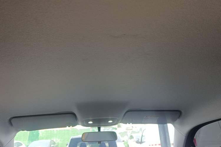 Used Leapmotor T03 2024 310 Comfort Edition Headliner