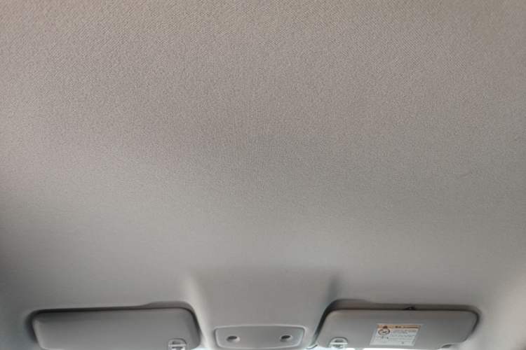 Used Leapmotor T03 2024 310 Comfort Edition Headliner