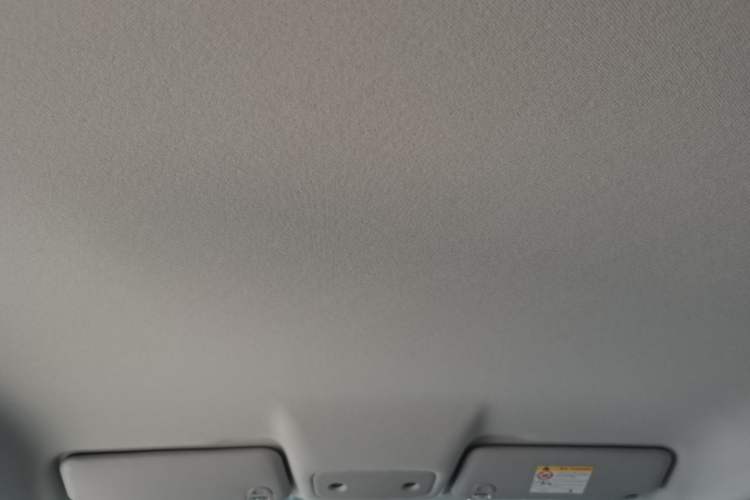 Used Leapmotor T03 2024 403 Comfort Edition Headliner