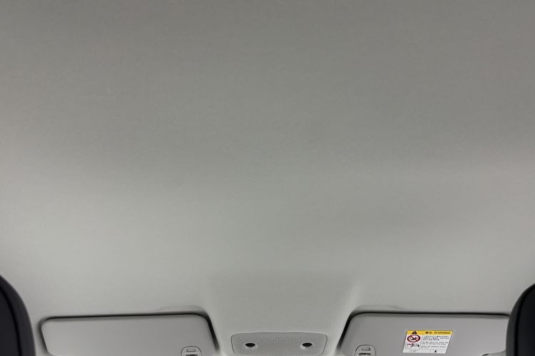 Used Leapmotor T03 2024 310 Comfort Edition Headliner