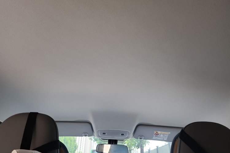 Used Leapmotor T03 2024 200 Lite Edition Headliner