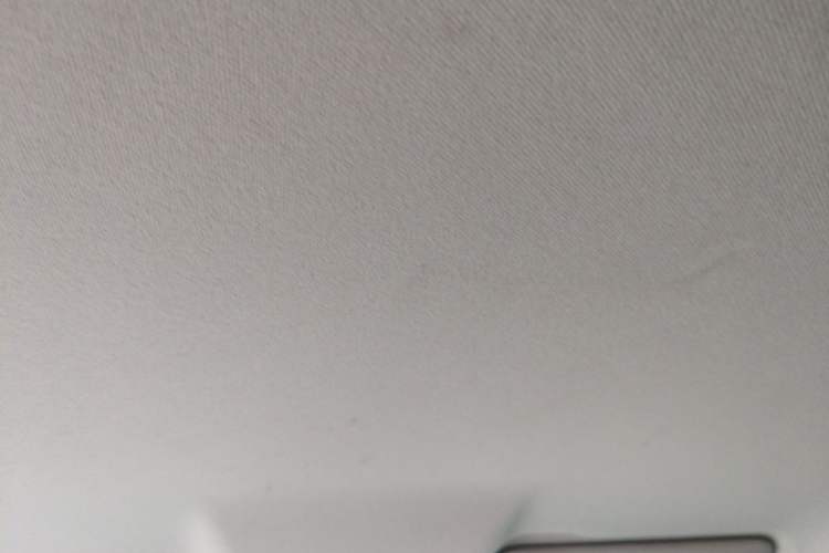 Used Leapmotor T03 2024 403 Comfort Edition Headliner