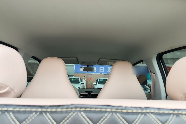Used Leapmotor T03 2024 200 Lite Edition Headliner