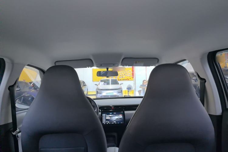 Used Leapmotor T03 2024 403 Comfort Edition Headliner