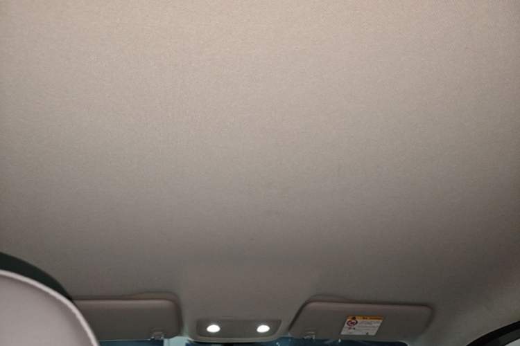 Used Leapmotor T03 2024 310 Comfort Edition Headliner