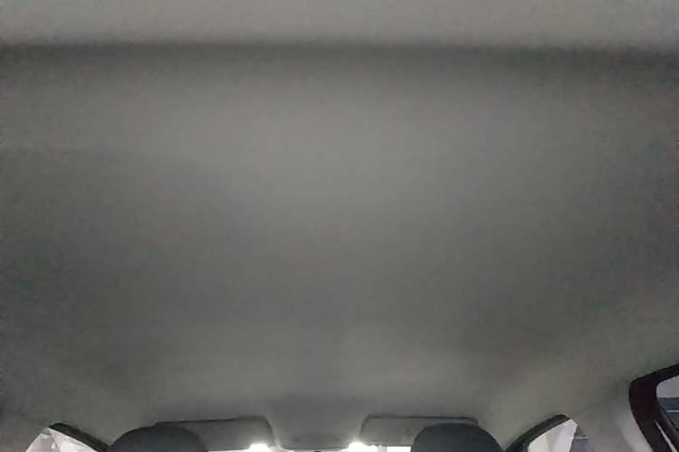 Used Leapmotor T03 2024 310 Comfort Edition Headliner