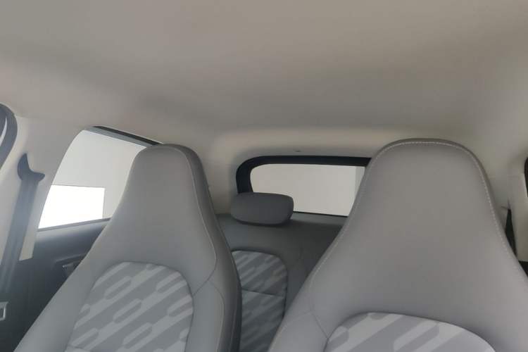 Used Leapmotor T03 2024 200 Lite Edition Headliner