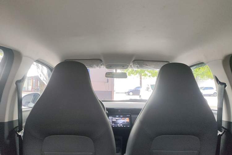 Used Leapmotor T03 2024 200 Lite Edition Headliner