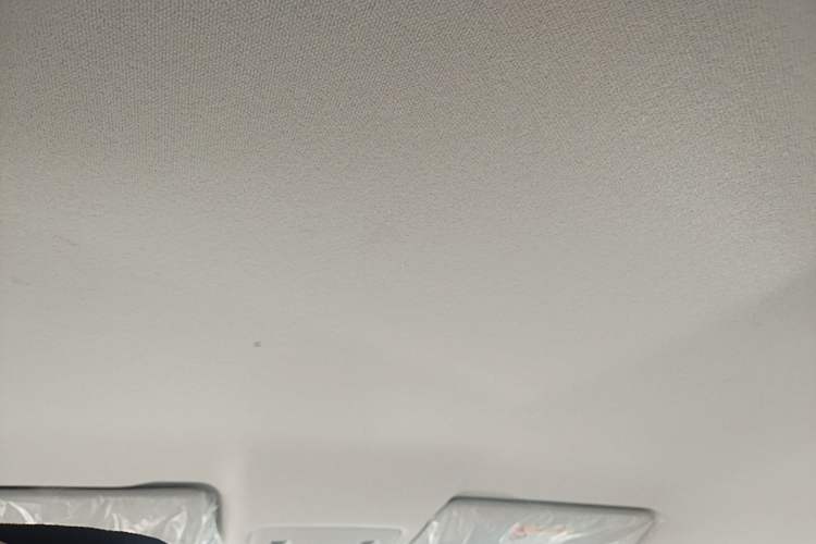 Used Leapmotor T03 2024 200 Lite Edition Headliner