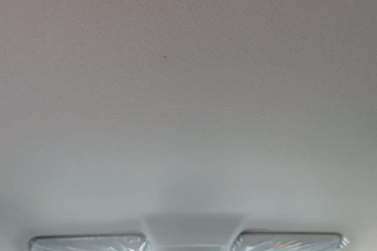 Used Leapmotor T03 2024 310 Comfort Edition Headliner
