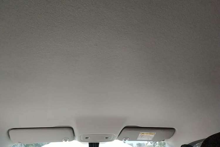 Used Leapmotor T03 2024 310 Comfort Edition Headliner
