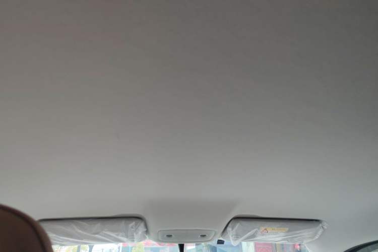 Used Leapmotor T03 2024 200 Lite Edition Headliner