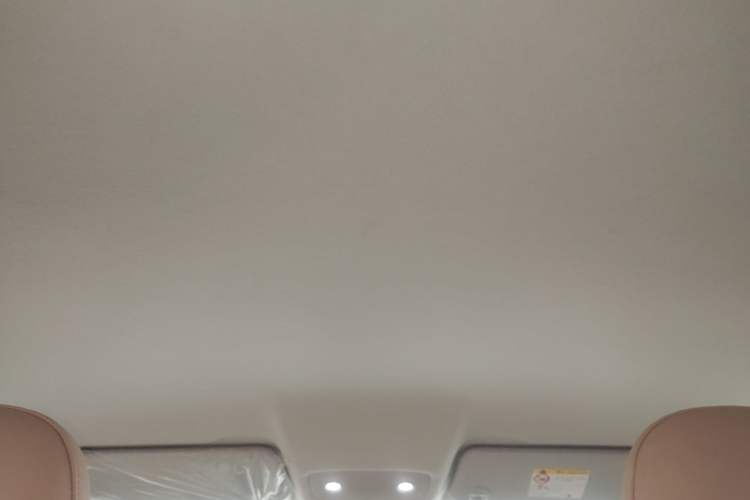 Used Leapmotor T03 2024 310 Comfort Edition Headliner