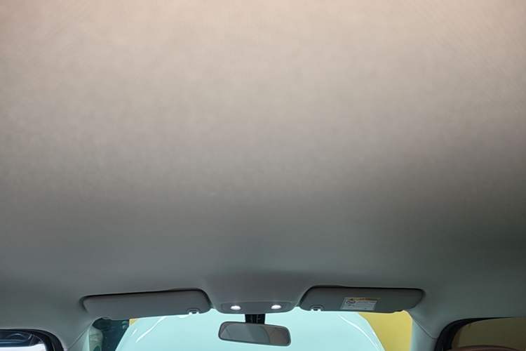 Used Leapmotor T03 2024 310 Comfort Edition Headliner