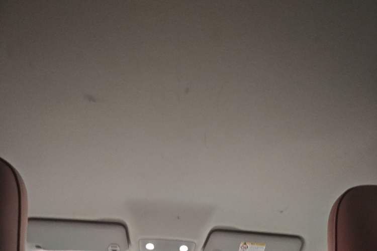 Used Leapmotor T03 2024 310 Comfort Edition Headliner