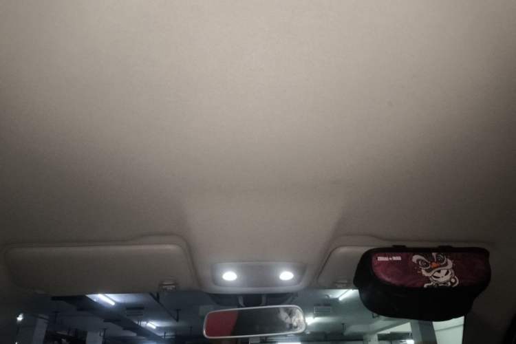 Used Leapmotor T03 2024 200 Lite Edition Headliner